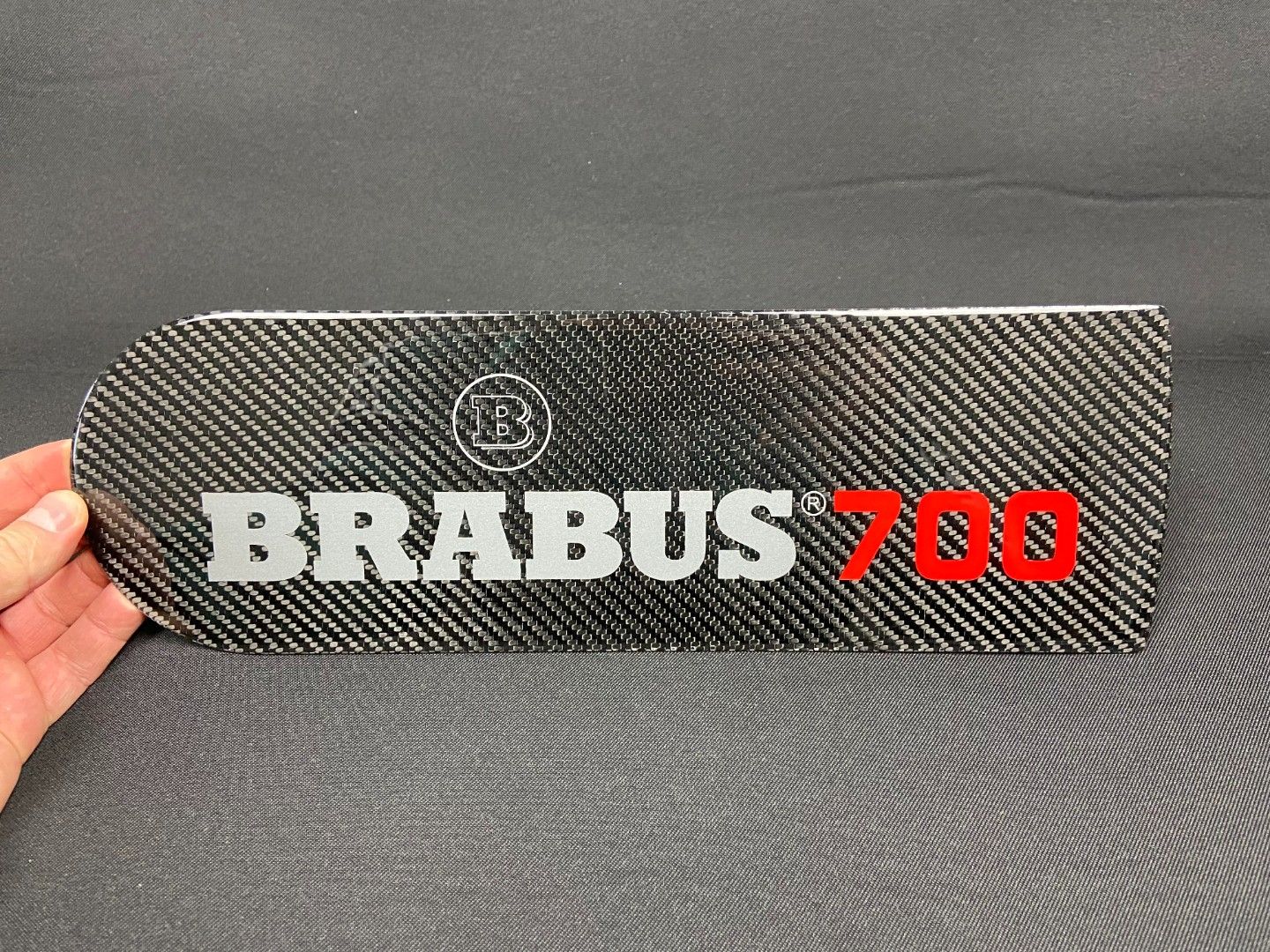 Carbon Fiber Rear Spare Tire Cover Emblem Insertion for Mercedes-Benz W463 G-Class